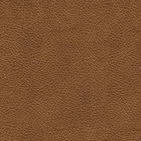 Emilia Sectional Loveseat