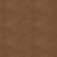 Bolsena Sofa Sleeper - 3 Bros Warehouse