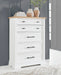Ashbryn Chest of Drawers - 3 Bros Warehouse