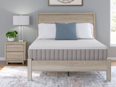 Terra Sleep Firm Mattress - 3 Bros Warehouse