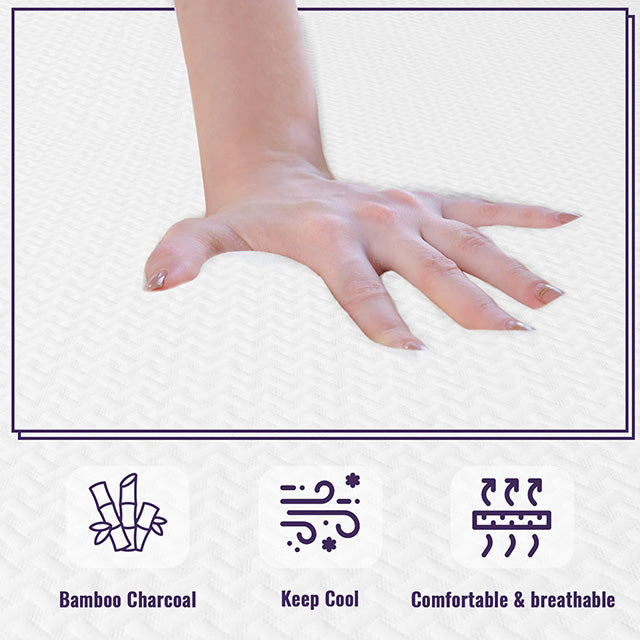 Nasturtium 10" Twin Bamboo Charcoal Infused Memory Foam - 3 Bros Warehouse