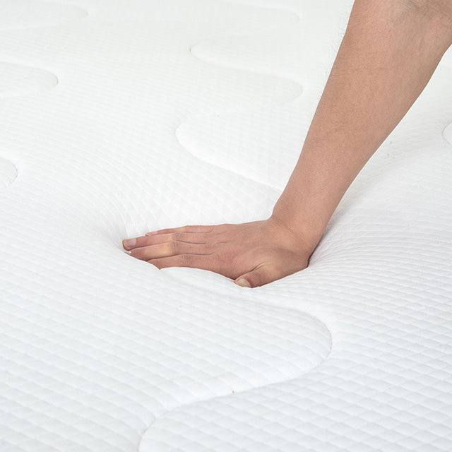Catmint 12" Queen Innerspring Mattress